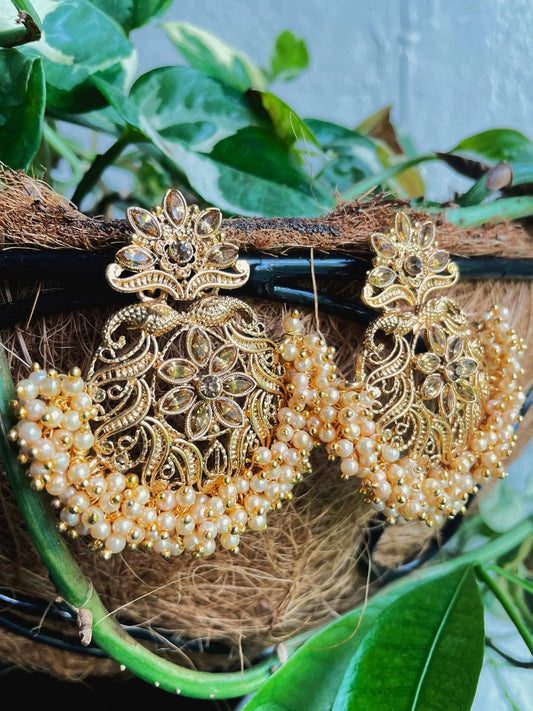 Raesa - Shanakht